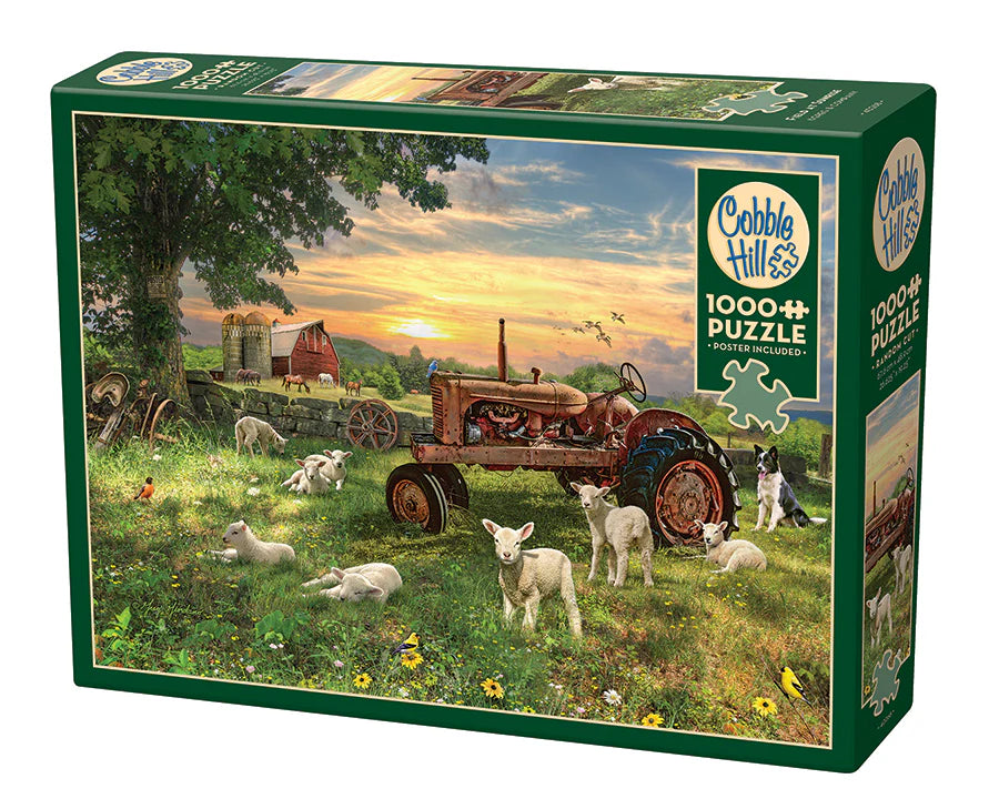 Field at Sunrise 1000 Pc puzzle by Cobble Hill