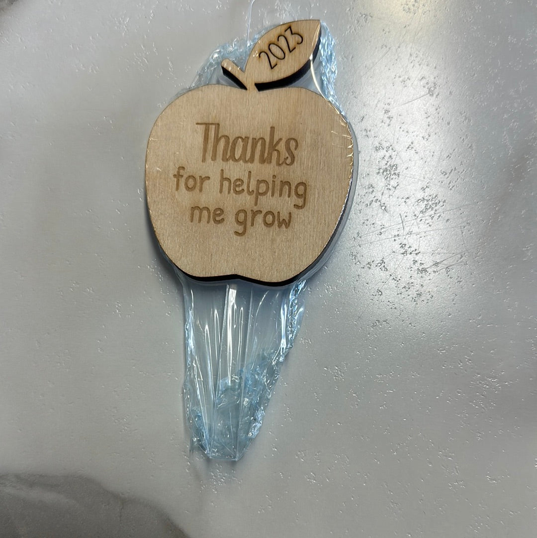 Teacher Grow Planter