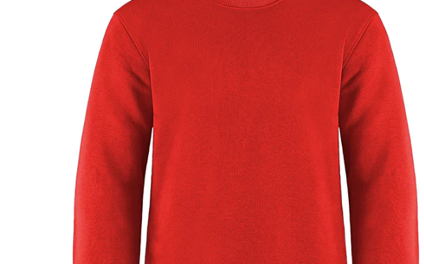 Adult Crewneck Sweatshirt for Everyday