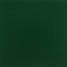 Adult Everyday Cotton Tees PLUS