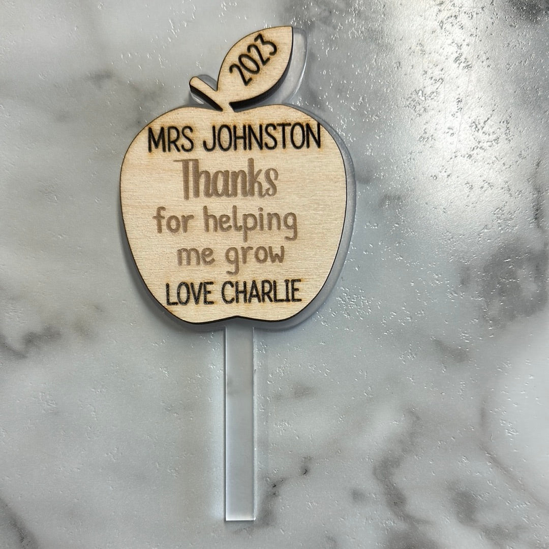 Thanks for helping me grow plant stick