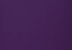 Adult Hoodies for Everyday PLUS