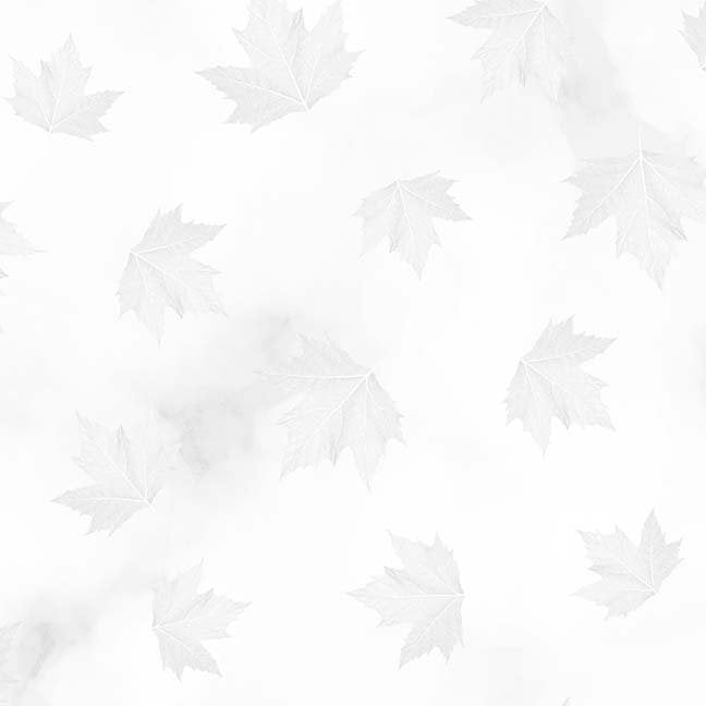 Breeze By SHANIA SUNGA Maple Leaves White Grey