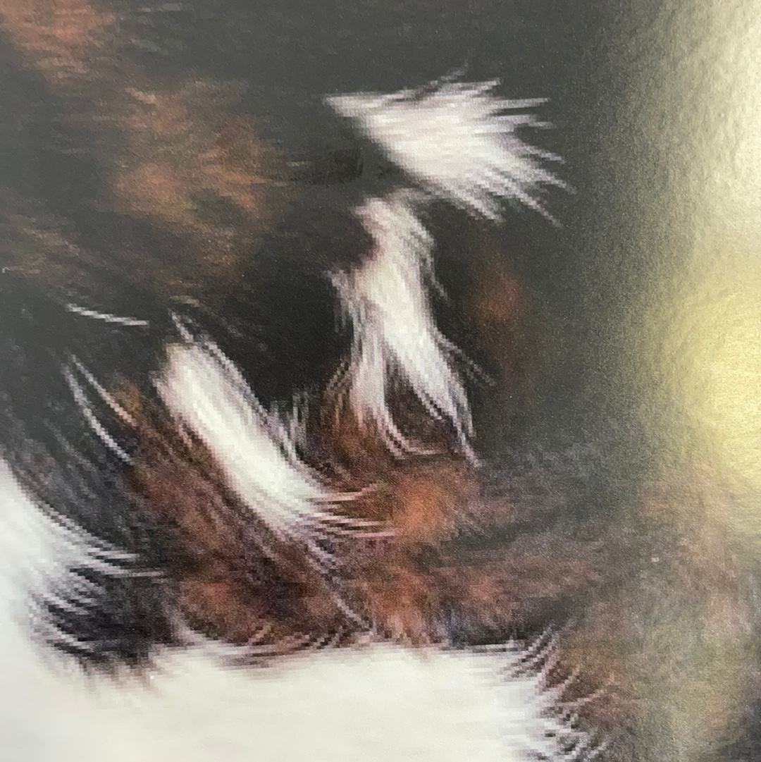 Cowhide 2 Patterned Permanent Vinyl