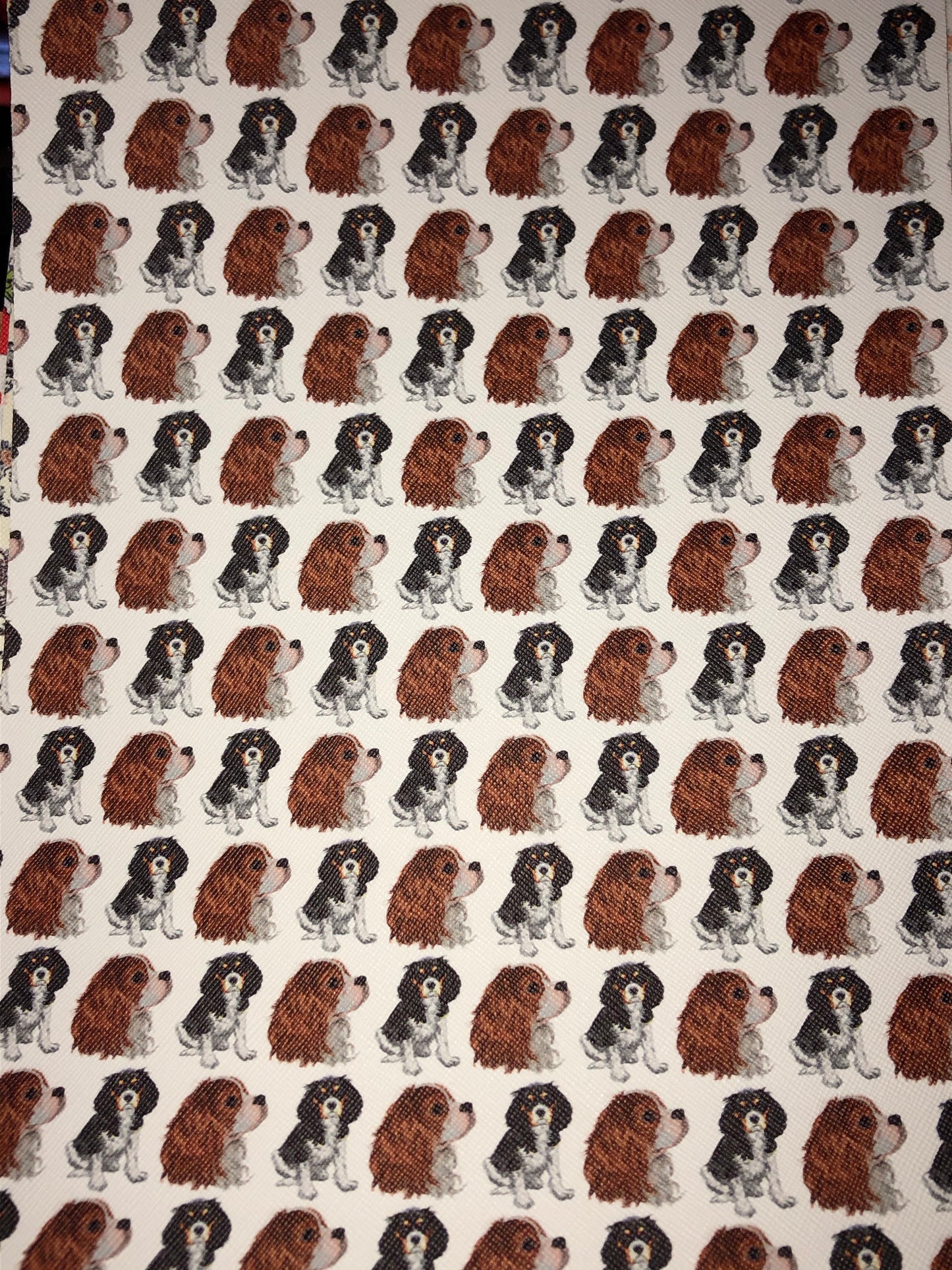 Faux Leather - man's best friend