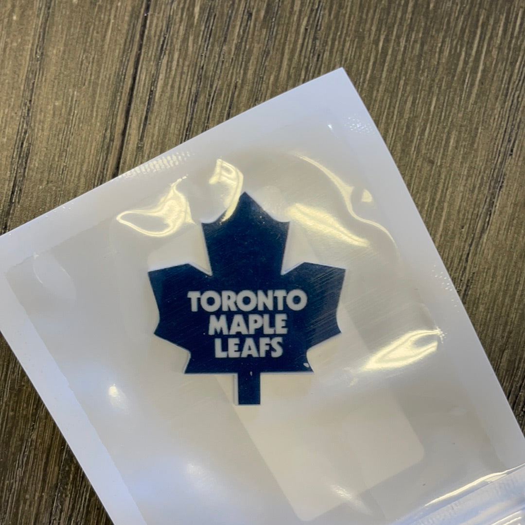 Toronto Hockey Resin