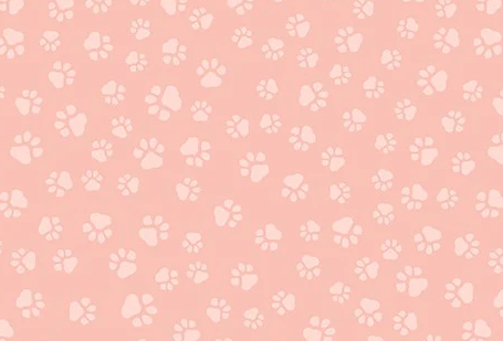 Dear Stella - Paws Peach