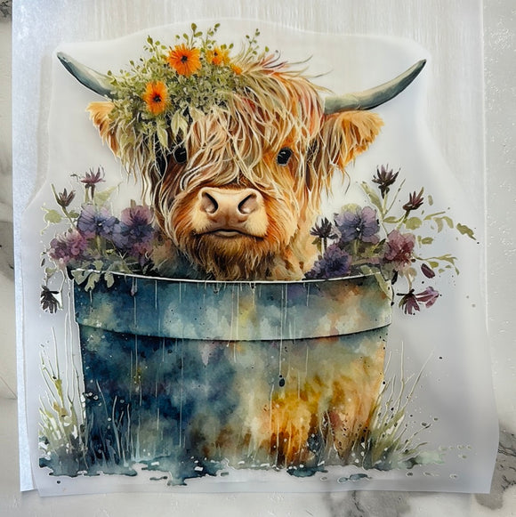 Highland Cow in Bucket DTF Print Transfer