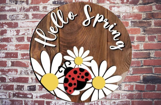 Hello Spring Daisies/LadyBug DIY Kit
