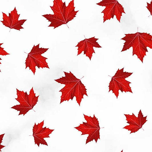 Maple Leaves Tossed Red White, Glorious & Free By SHANIA SUNGA