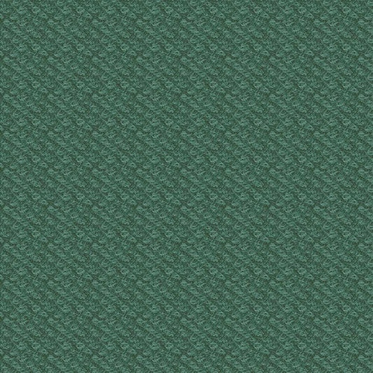 Woolies Flannel by Bonnie Sullivan -  POODLE BOUCLE SOFT Green