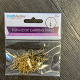 Fish Hook Earring Wires